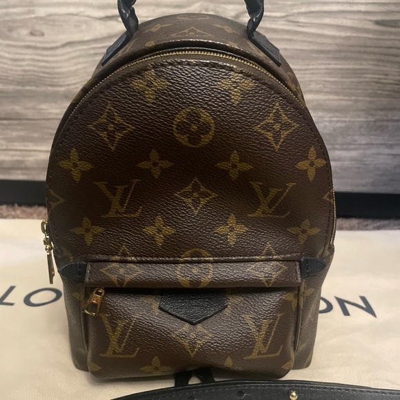 Louis Vuitton Palm Springs mini - Picture 5 of 10